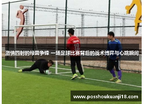 激情四射的绿茵争锋 一场足球比赛背后的战术博弈与心跳瞬间