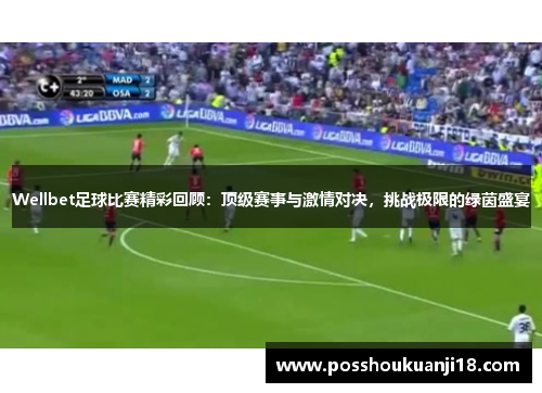 Wellbet足球比赛精彩回顾：顶级赛事与激情对决，挑战极限的绿茵盛宴