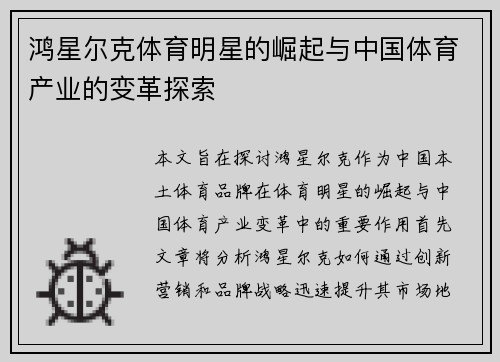 鸿星尔克体育明星的崛起与中国体育产业的变革探索