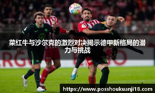 美嘉体育菜红牛与沙尔克的激烈对决揭示德甲新格局的潜力与挑战